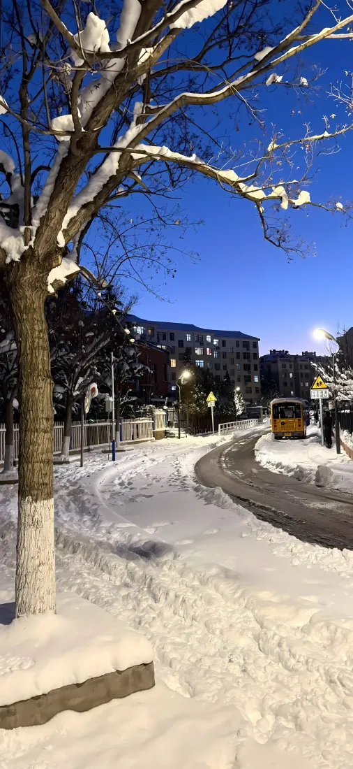 雪后街道手机壁纸｜蓝天背景图片 - 积雪树木城市街景「哲风壁纸」