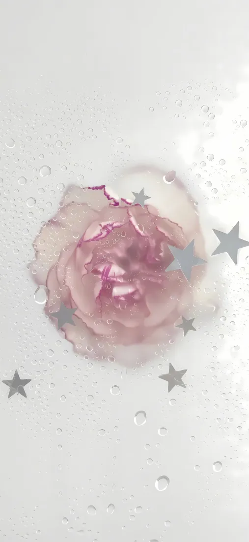 4k花朵壁纸 - 玫瑰 - 简约 - 梦幻「哲风壁纸」