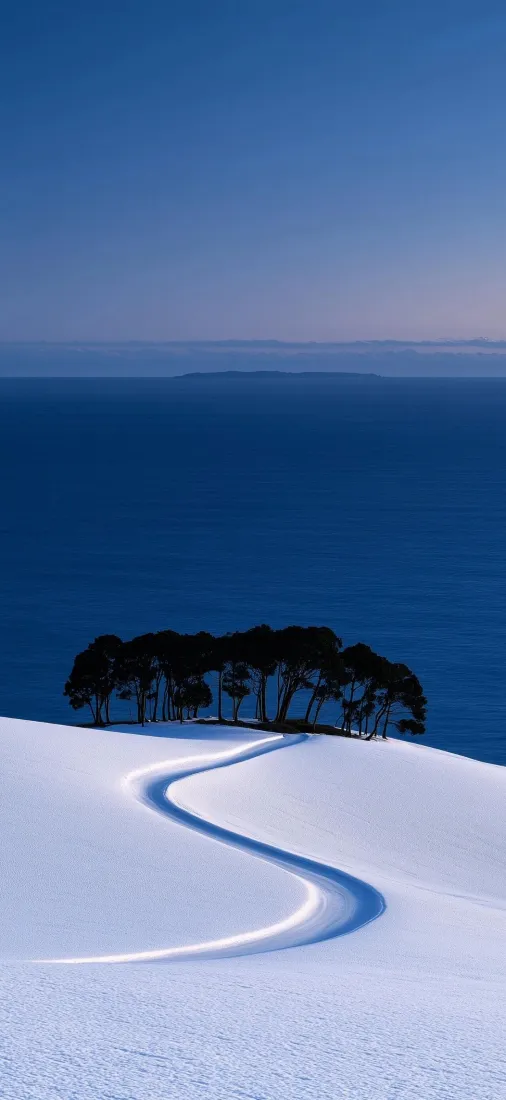雪地手机壁纸｜背景图片 - 蜿蜒雪路树林蓝天极简冬日风景「哲风壁纸」