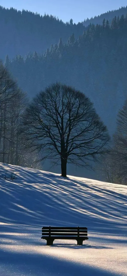 雪地孤树长椅手机壁纸｜冬日背景图片 - 山林晴空「哲风壁纸」