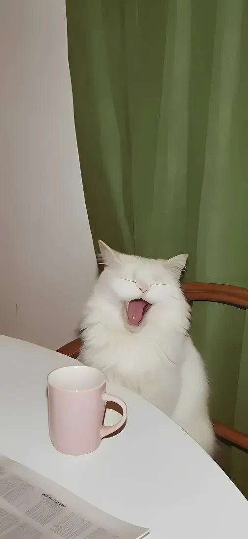 打哈欠白色小猫手机壁纸｜居家桌面背景图片 - 可爱长毛猫咪「哲风壁纸」