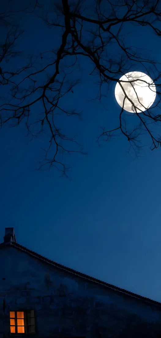 满月月夜手机壁纸｜深蓝夜空背景图片 - 枯树剪影暖窗民居「哲风壁纸」