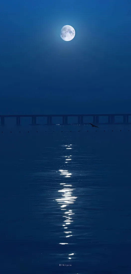 满月｜海面月光倒影背景图片 - 静谧深蓝夜景「哲风壁纸」