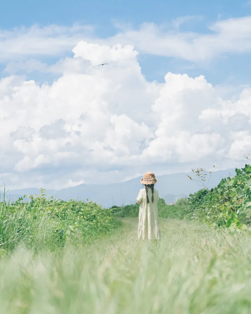 草地少女｜夏日晴空背景图片 - 纯真治愈「哲风壁纸」