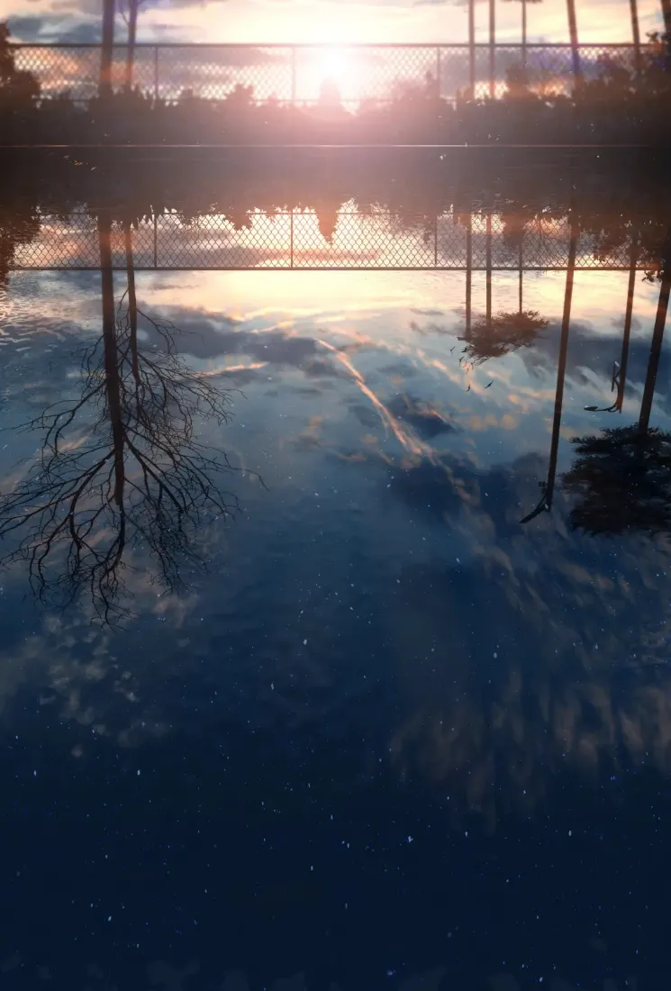 水映落日树林手机壁纸｜水天倒影背景图片 - 静谧黄昏湖景「哲风壁纸」