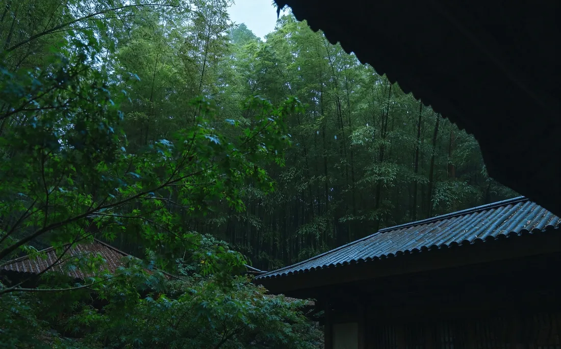 2k林间古屋壁纸｜雨天屋角背景图片 - 幽静森林绿意山景「哲风壁纸」