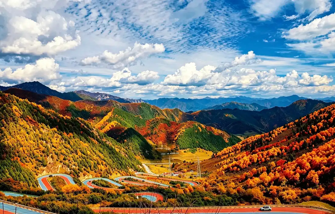 3k青海扎碾公路壁纸｜秋日彩林背景图片 - 山谷盘山公路「哲风壁纸」