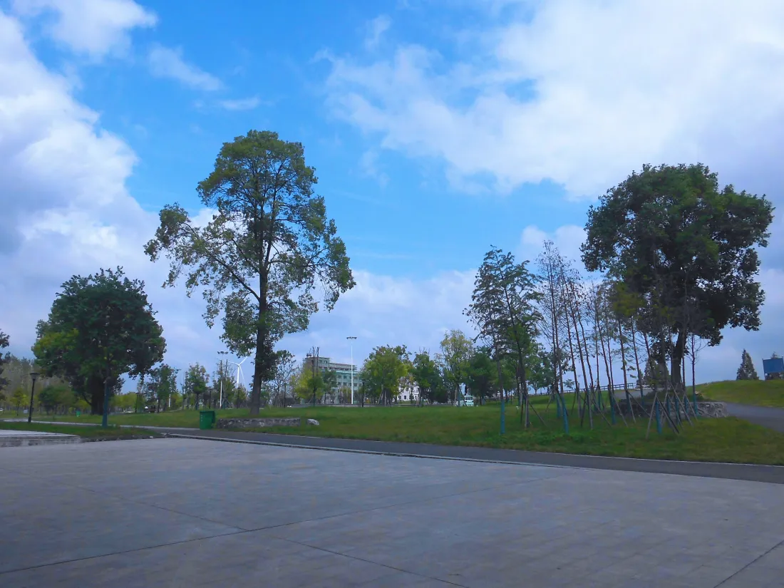 5k郊野草地树木风景壁纸｜蓝天白云背景图片 - 晴朗夏日「哲风壁纸」