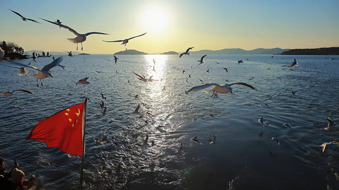 4k海鸥壁纸｜海面日落背景图片 - 群鸥飞翔红旗风景「哲风壁纸」