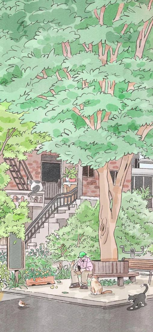 绿荫街景卡通插画｜夏日街道背景图片 - 治愈休闲「哲风壁纸」