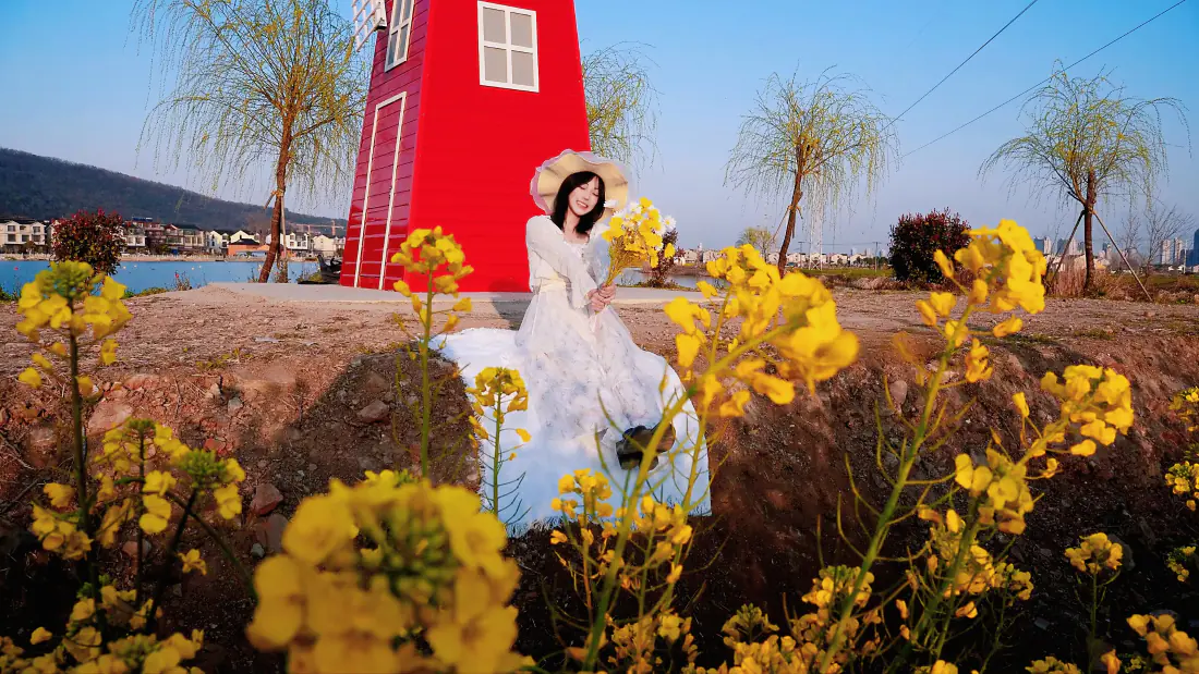 3k白裙美女｜油菜花田背景图片 - 红色风车春日写真「哲风壁纸」