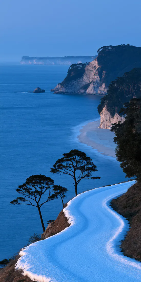 蓝色海岸蜿蜒公路｜海边风景背景图片 - 悬崖松树碧海蓝天「哲风壁纸」