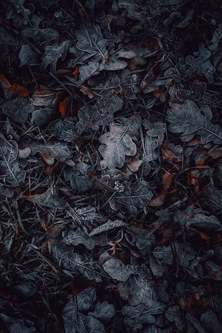 《灰色》手机壁纸-纹理背景图片红色的「哲风壁纸」