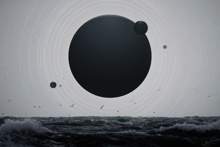 5k鸟类壁纸-海-《波浪》-行星星眼「哲风壁纸」