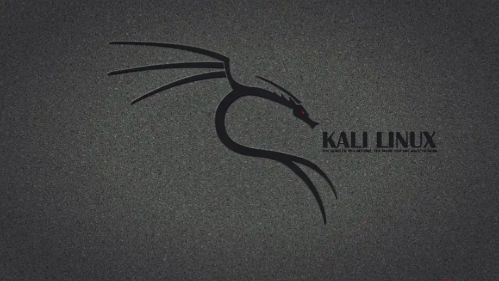 2k壁纸推荐壁纸-k黑白背景墙li背景图片 - Linux「哲风壁纸」