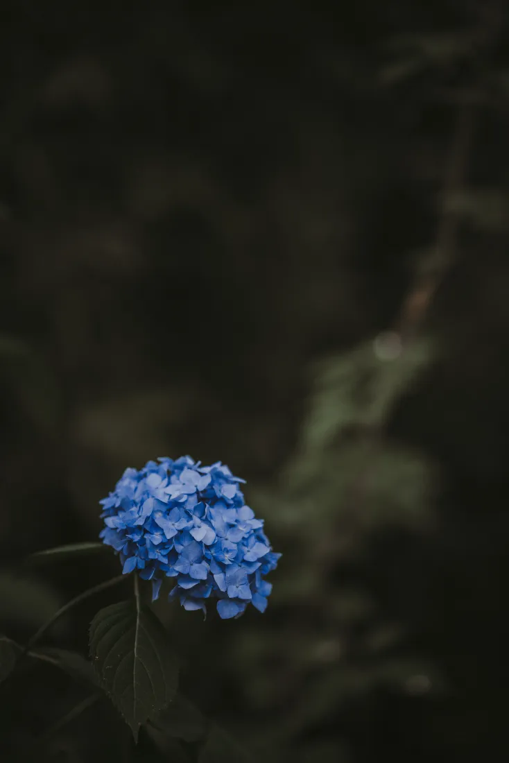 《天空》手机壁纸-工厂壁纸-弹簧壁纸-关闭了「哲风壁纸」