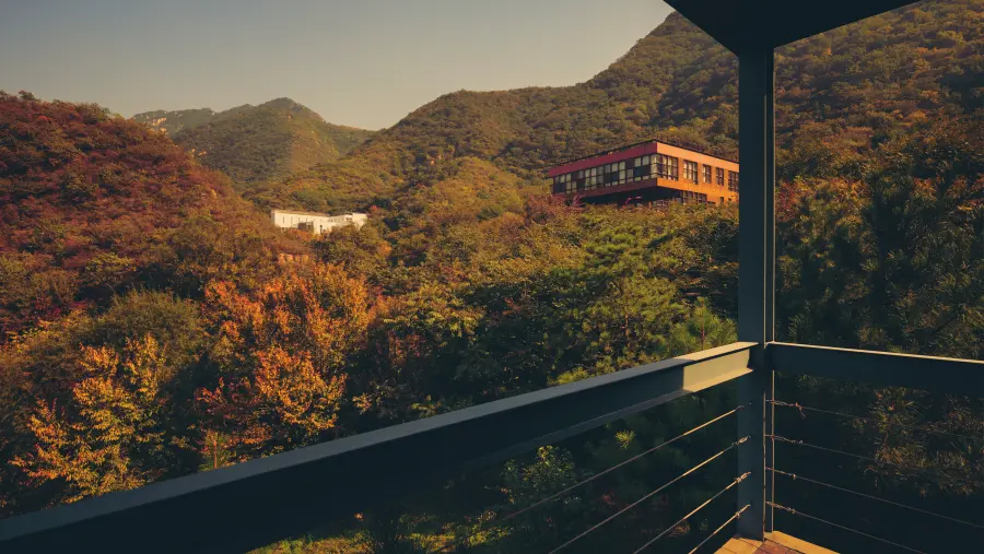 4k森林壁纸-建筑背景-《丘陵》壁纸-北京