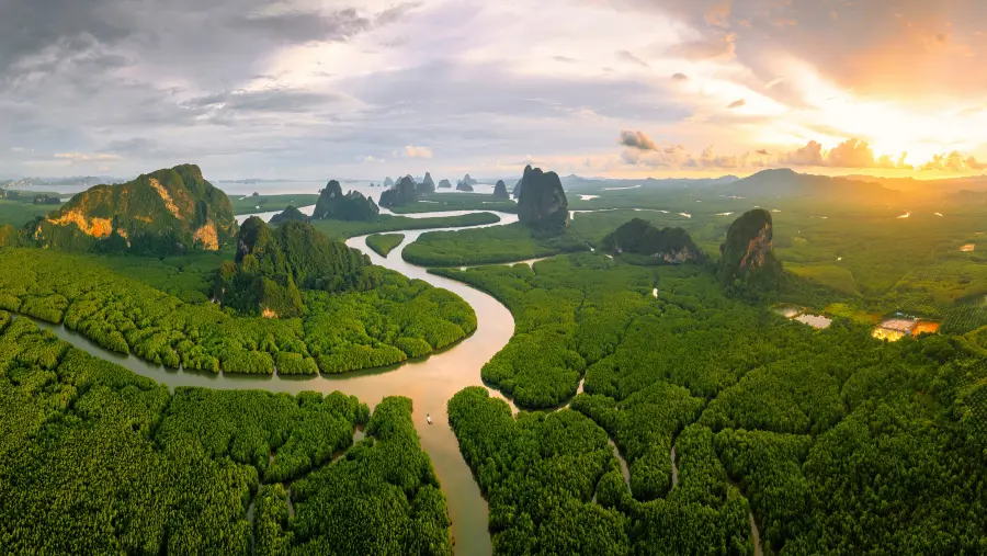 4k森林壁纸-日落图片-《岩石》背景-泰国「哲风壁纸」