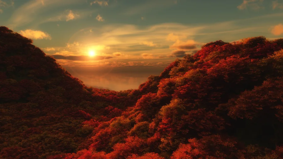 4k森林壁纸-太阳图片-阳光背景-丘陵「哲风壁纸」