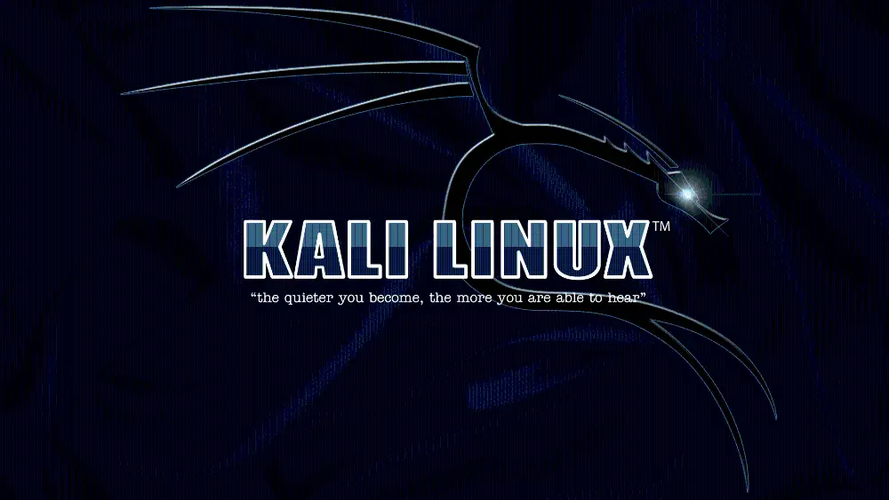 2k壁纸网站壁纸-kali图片-《Linux》「哲风壁纸」