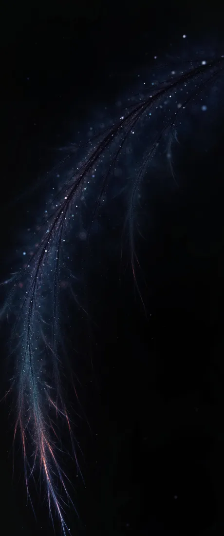 《午夜》手机壁纸-黑色的背景图片 - 地球的气氛背景图片 - 星光灿烂的夜晚「哲风壁纸」